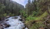 Tour Wandern Jausiers - cascadede pissoun 24 06 2024 - Photo 9