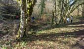 Trail Walking Varacieux - Combe Robert depuis Essemat - Photo 4