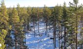 Tour Zu Fuß Äänekoski - Laulava Mörön Polku - Photo 2