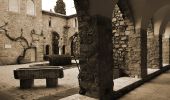 Percorso Marcia Les Arcs-sur-Argens - Chemin de Compostelle de Abbaye Celle Roubaud à Lorgues par Ermitage St Ferréol - Photo 15