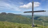 Trail Walking Dienne - Laqueuille seycheuse vassiviere Peyre-Gary  - Photo 6