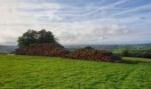 Tour Wandern Beauraing - Balade à Honnay - Beauraing - Photo 8