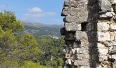 Trail Walking Roquefort-les-Pins - ROQUEFORT LES PINS - Photo 2