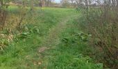 Trail Walking Lebbeke - 20221022 WSV Denderklokjes  - Photo 14