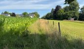 Tour  Attert - Balisage GR15 - Photo 11