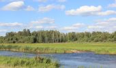 Tocht Te voet Dolistowo Stare - Morgowniki - Dolistowo - Lipsk - Photo 8