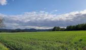 Tour Zu Fuß Medebach - Medebach Rundweg M5 - Photo 10