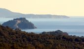 Excursión Senderismo Bormes-les-Mimosas - SityTrail - Barrage du Trapan - Estagnol - Pellegrin - Photo 14