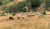 Trail Walking Saint-Sauveur-Camprieu - Col du Faubel  lac Camprieu Col du faubel - Photo 9