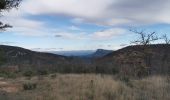 Trail Walking Mazaugues - Plateau d'Agnis, au dessus de Mazaugues - Photo 6