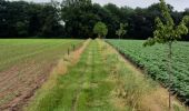 Percorso Equitazione Walcourt - Mertenne/bois de la Baronne/Rognée - Photo 4