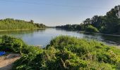 Tour Wandern Pinsaguel - PINSAGUEL : sentier de la Confluence (24.08.2023) - Photo 9