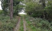 Tocht Stappen Hoei - Ben Ahin (poterie); La Sarte à Ben - Photo 7