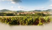 Tour Wandern Vic-le-Comte - Vic_le_Comte_Campagne - Photo 1