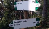 Percorso A piedi San Zeno di Montagna - Sentiero Natura Pineta Sperane - Photo 5