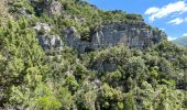 Tocht Stappen La Palud-sur-Verdon - La palud sur Verdon - Photo 16