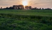 Percorso A piedi Stichtse Vecht - Rondje Portengen - Photo 8