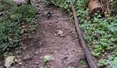Trail Walking Dinant - freyr 1er aoÃ»t  - Photo 8