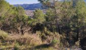 Excursión Senderismo Taradeau - z le clos du dragon à Taradeau 27-11-18 - Photo 1