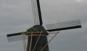 Excursión A pie Hoeksche Waard - Sint Anthoniepolderroute - Photo 5