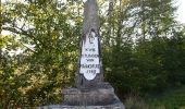 Tour Zu Fuß Niederelbert - Kadenbacher Rundwanderweg K3 - Photo 4