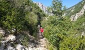 Tocht Stappen La Palud-sur-Verdon - verdon - Photo 3