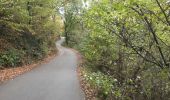 Percorso Marcia Chaudfontaine - via bois des dames et bois de la rochette  - Photo 1