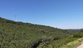 Randonnée Marche Pouzols-Minervois - POUZOLS MINERVOIS - les éoliennes - Photo 6