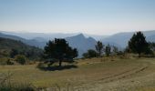 Trail Walking Toudon - FFR - la Cime des Colettes  - Photo 8