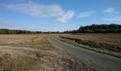 Randonnée Marche Saint-Ouen-les-Vignes - Saint-Ouen-les-Vignes - Monteaux (la Digue) boucle via GR3 - 21.4km 195m 4h30 (35mn) - 2018 10 27 - Photo 1