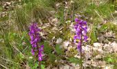 Trail Walking Antheuil - Saint JeandeBoeuf- Antheuil-Crugey-Labussièresur Ouche - Photo 5