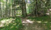 Trail Walking Saint-Gervais - Les Écouges - Pas de Pierre Taillée - Photo 11
