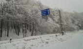 Excursión A pie okres Pezinok - Lesnícky náučný chodník Pece - Čertov kopec - Photo 3