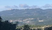 Trail Walking Allauch - La Paloire Rando Tamalous - Photo 5