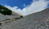 Percorso Marcia Bédoin - du chalet renard au sommet du ventoux - Photo 3