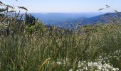 Tour Wandern Val-d'Aigoual - Aigoual  - Photo 2