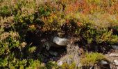 Trail Walking Les Estables - Tour du Mont d'Alambre 07-09-2020 - Photo 3