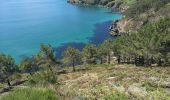 Trail Walking Crozon - Morgat - Pointe de la Chèvre - Photo 17