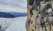 Tour Wandern Beynes - 2024-01-19 Montagne de Beynes  - Photo 2