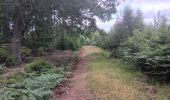 Trail Walking Spa - qwadrifyon entre havette berinzenne r.a.f et malchamps - Photo 4