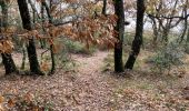 Trail Walking Pignans - Sainte Marie des Anges 15,8 km - Photo 9