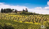 Tour Zu Fuß San Gimignano - Dolce campagna, antiche mura 20 - Photo 3