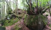 Tocht Mountainbike Le Falgoux - Le Falgoux - Pas de Peyrol - Photo 3