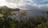 Randonnée Marche Anse d'Arlet - Cap Salomon - Photo 2