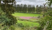 Percorso Marcia Wincrange - Escapardenne Eisleck Trail: Moulin d'Asselborn - Houffalize - Photo 3