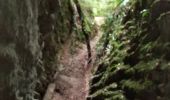 Trail Walking Chapeiry - Failles de Saint Sylvestre  - Photo 1