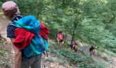 Trail Walking Profondeville - Sept Meuse Profondeville  21,4 km - Photo 1