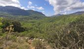 Excursión Senderismo Le Revest-les-Eaux - Reconnaissance tracés autour de la Ripelle - A la découverte de nouveaux chemins - Photo 13