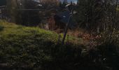 Trail Nordic walking Arbaz - Forniri et retour  - Photo 4