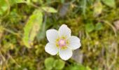 Tour Wandern Theys - A l’ascension de la roche Noire - Photo 13